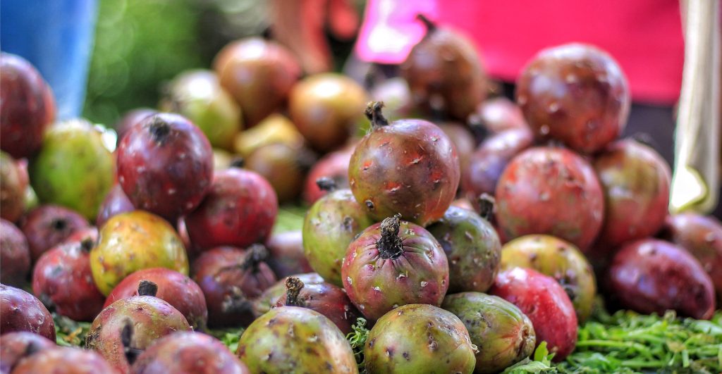 Feria de la Pitaya