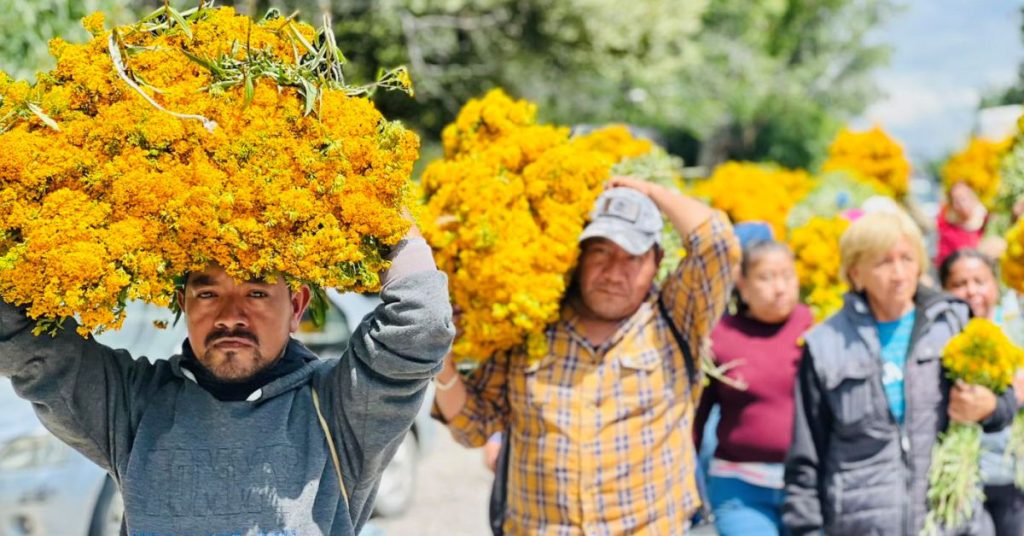 Pericón en Jonacatepec