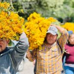 Pericón en Jonacatepec