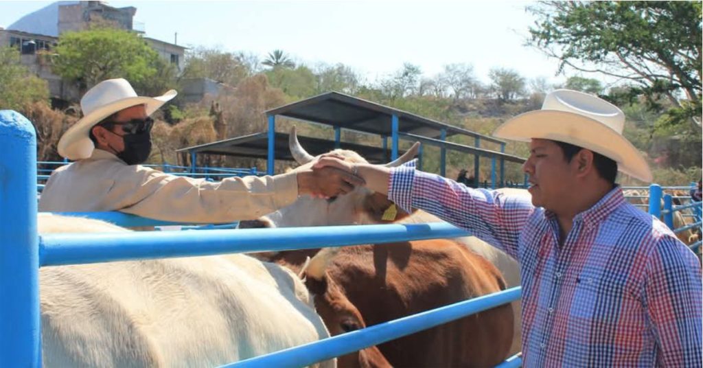 Certifican Ganado Libre de Enfermedades en Chalcatzingo