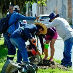 Inició Jornada de Arborización 2025