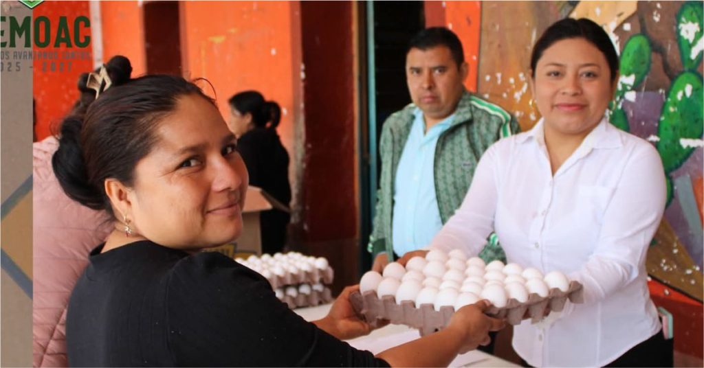 Huevo a Bajo Costo en Apoyo a la Economía Familiar