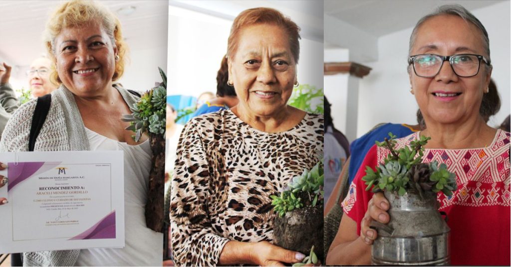 Taller de Cultivo de Suculentas en Cuautla