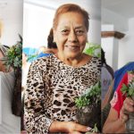 Taller de Cultivo de Suculentas en Cuautla