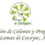 Convocatoria a la Asamblea General Extraordinaria