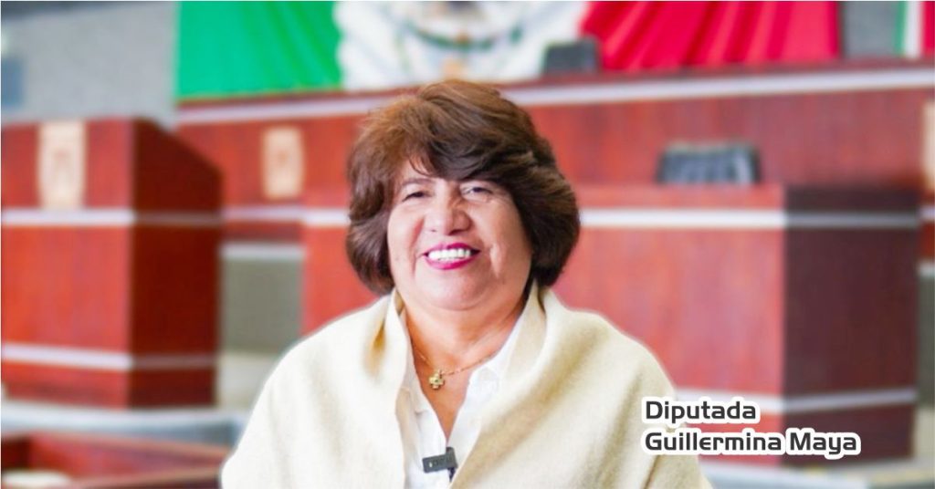 Exitosos Foros Estatales de Derechos Indígenas y Afromexicanas