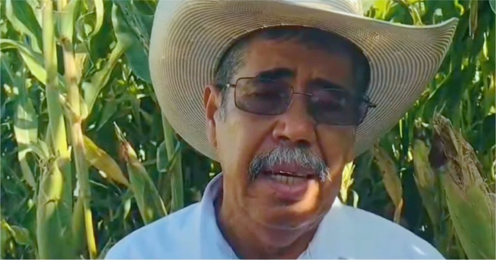 Estudian Maíz Mejorado en Morelos