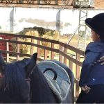 Brindará Equinoterapia DIF de Zacualpan