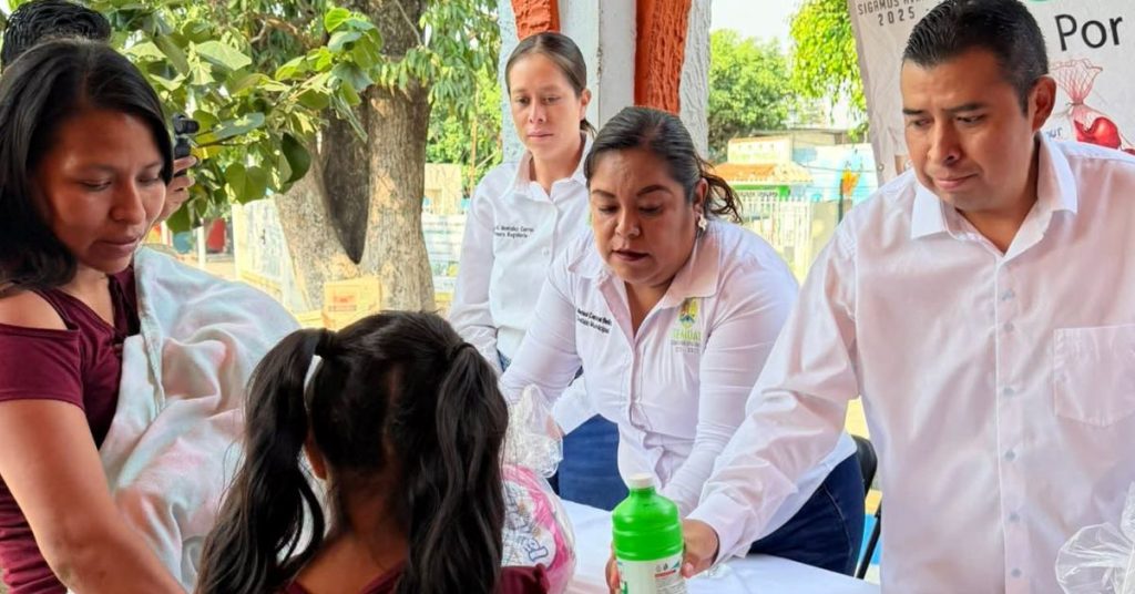 Despensas en Huazulco y Amilcingo