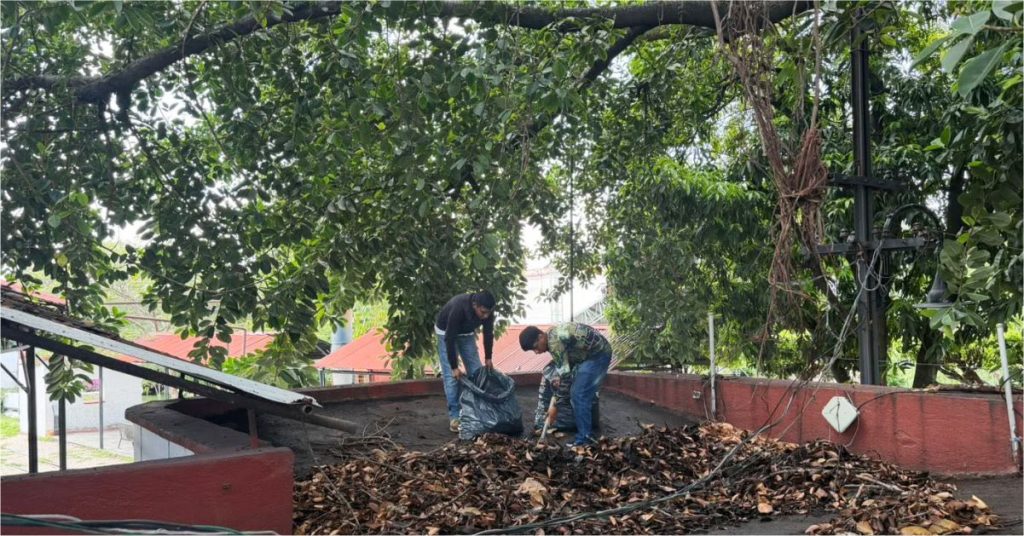 Reforzan Acciones de Limpieza y Poda en Espacios Públicos de Cuautla