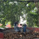 Reforzan Acciones de Limpieza y Poda en Espacios Públicos de Cuautla