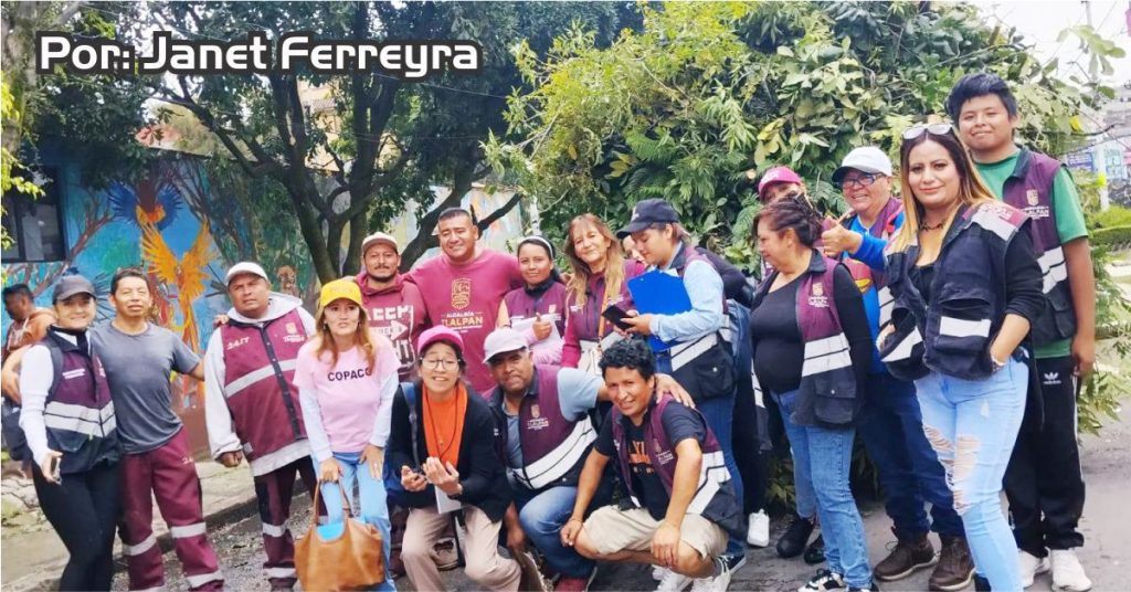 Avanza Campaña de Poda de Árboles en Lomas de Padierna 1